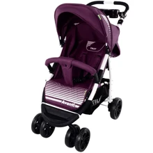 Візок Tilly Avanti T-1406 Purple: Тип коляски візок для прогулянок