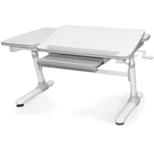 Стол Evo-kids Darwin Grey (арт.Evo-502 G) - столешница белая / вставки серые: Тип Парта