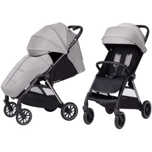 Прогулянкова коляска Carrello Delta CRL-5517 Flint Grey: Тип коляски Прогулочная