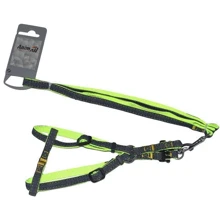 Поводок-удавка AnimAll HJ-LН215 denim leash Green 10х1200 мм: Тип Поводок-удавка