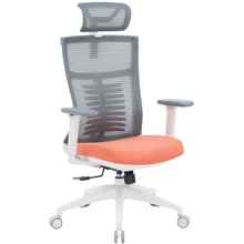 Кресло офисное OfficePro Balance (OC550-W-DG-OR): Тип для персонала