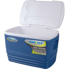 Pinnacle Eskimo 34.5L (0682622060091BLUE): Тип термобокс