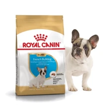 Сухой корм Royal Canin French Bulldog Puppy для щенков французского бульдога 3 кг (3990030): Тип Сухой корм