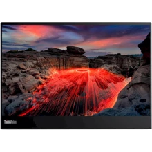 Монітор Lenovo M14t Gen 2 (63FDUAT6WL): Покриття екрану матовое