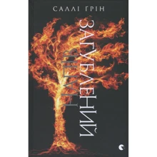 Напівзагубленій. книга третя: Виробник Видавництво Старого Лева