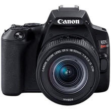 Canon EOS 250D Body: Тип матрицы CMOS