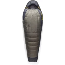 Спальний мішок Sea to Summit Spark Pro -1C/30F Long Beluga Black (STS ASL041071-210104): Тип кокон