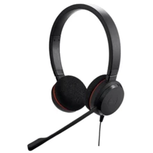 Наушники Jabra Evolve 20 MS Stereo (4999-823-189): Тип конструкции накладные