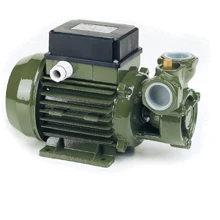 SAER KF-3: Тип поверхностные насосы