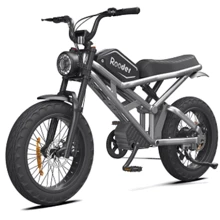 Електровелосипед Rooder 1000W 48V25Ah Silver (00000062039): Ємність батареї, Втч 1200