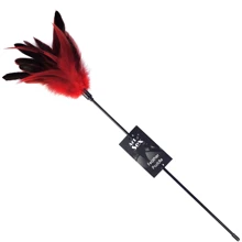 Лоскіт червоний Art of Sex - Feather Paddle (перо молодого півня): Виробник Art of Sex