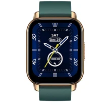 Смарт-часы Zeblaze Btalk Green: Дисплей 1.86" TFT (240x300)