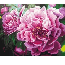 Картина по номерам Brushme Роскошные пионы 40x50 см (BS4667): Производитель Brushme