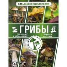 Большая энциклопедия грибника. Съедобные и несъедобные. Собираем и готовим: Производитель АСТ