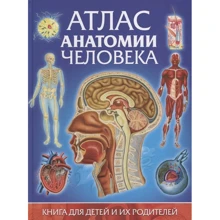 Винченцо Гуиди: Атлас анатомии человека. Книга для детей и их родителей: Производитель Владислав Камионко