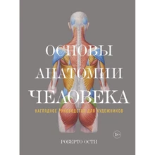 Роберто Ості: Основи анатомії людини. Наочне керівництво для художників: Виробник Колібрі