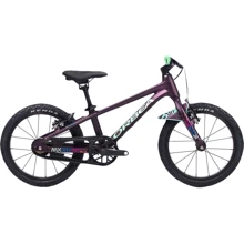 Велосипед Orbea MX 16 22 M00216I4 16 Purple-Mint (M002): Тип 2х колесный велосипед