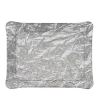 Поднос Platex Old Silver 24x18 см (402418082): Тип поднос