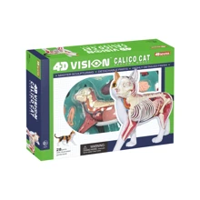 Объемная анатомическая модель 4D Master Кот (FM-622040): Производитель 4D Master