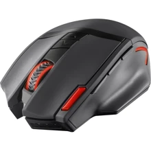 Мышь Trust GXT 130 Wireless Gaming Mouse (20687): Интерфейс подключения Wireless