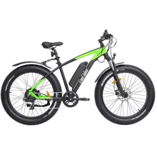 Электровелосипед Like.Bike Bruiser (green/grey): Цвет зеленый