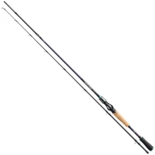 Спінінгові вудилище Daiwa POWERMESH BC 1.95M 60-120gr (11918-195): Тип вудлища спиннинговое