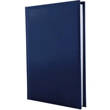 Щоденник недатований Economix, А5, Carin, білий блок, клітина, синій (E22002-24): undefined undefined
