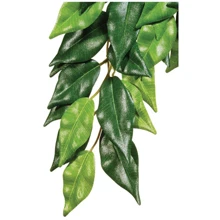 Растение шелковое Hagen Ficus Large (015561230506): undefined undefined