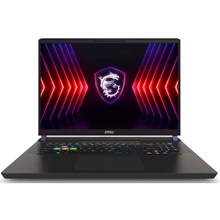 Ноутбук MSI Vector HX A14VHG-649US (VECTOR17A1649): Екран 17" IPS (2560x1600)