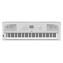 Синтезатор YAMAHA DGX-670WH: Тип Развлекательные
