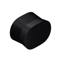 Акустика Sonos Era 300 Black: Цвет черный