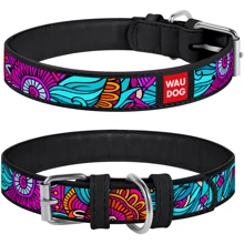 Ошейник WAUDOG Design с рисунком "Лето" 12 мм 19-25 см черный (37471): Производитель WAUDOG