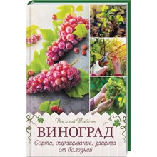 Василий Тыбель: Виноград. Сорта, выращивание, защита от болезней: Производитель Клуб семейного досуга