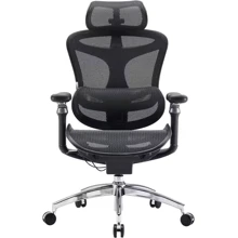 Крісло офісне Sihoo DORO C300 Pro Mesh Black (DORO-C300-PRO-M101): Тип для персоналу