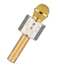 Караоке микрофон WS-858 (WS-858(Gold)): Производитель WSTER