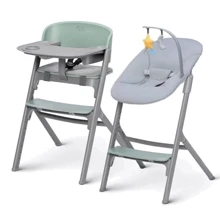 Стульчик для кормления с шезлонгом Kinderkraft Livy Calmee Olive Green (KHLICA00GRE0000): Тип трансформер