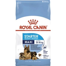 Сухой корм для щенков Royal Canin Maxi Starter крупных пород и беременных собак 4 кг (2994040): Тип Сухой корм