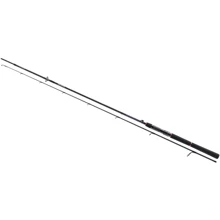 Спінінгові вудилище Daiwa Tournament SW AGS 2,4m 14-42gr (11758-245): Тип вудлища спиннинговое
