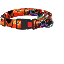 Нашийник HiDog Safari XS 10 мм 18-28 см різнокольоровий (101\1016): Виробник HiDog
