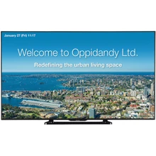Монитор Sharp PNQ601E: Покрытие экрана глянцевое