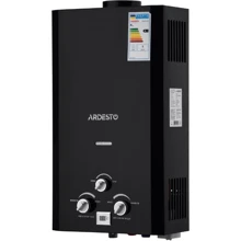 Водонагреватель газовый Ardesto X1 (TFGBH-10B-X1-BLACK): Вид Дымоходный