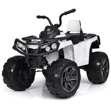 Детский электромобиль Квадроцикл Bambi M 3999EBLR-1 до 35 кг: Вид квадроцикл