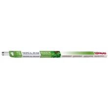 Лампа Amtra Tropical River Т8 світлого денного 25 Вт 8500К Д 26 мм 750 мм (A6049268): Виробник Amtra