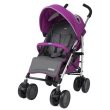 Коляска Chicco Multiway Evo Cyclamen 06.23: Тип коляски прогулочная коляска