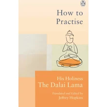 Dalai Lama: How to Practise. The Way to a Meaningful Life: Производитель Penguin