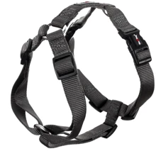 Шлея GimDog HARLEM H нейлон 2.0х50-70 см серая (009632059297): Производитель GimDog