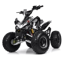 Детский электромобиль Квадроцикл Bambi HB-EATV1000Q2-1(MP3) до 120 кг: Вид квадроцикл