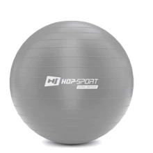 Мяч для фитнеса Hop-Sport HS-R065YB silver 65 см: Диаметр, см 65