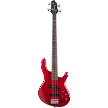 Бас-гитара CORT Action Bass Plus TR: Тип Бас-гитара
