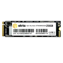 ATRIA X500S 256 GB (ATNVMX500S/256) UA: Тип накопителя внутренний
